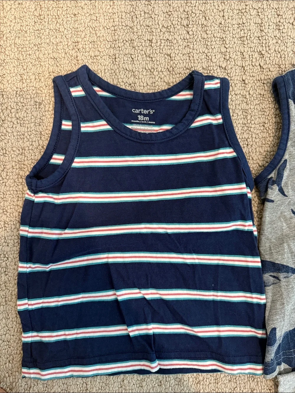 18M Boys Tank & Boardshorts Bundle